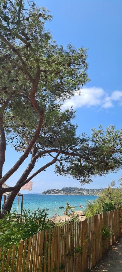 Le Tamaya Plage Charmant T2 En Rez De Jardin A 2 Pas D Une Belle Plage De Toutes Commodites Et Centre Ville Port Cavalaire-sur-Mer Exterior foto